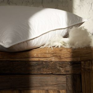 candia pillow naturalcollection productpage feather and down 01