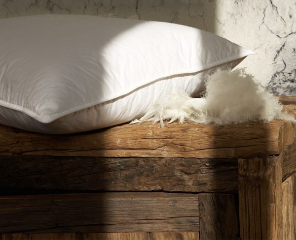 candia pillow naturalcollection productpage feather and down 01
