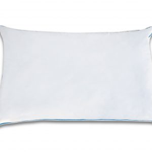 voyager pillow 1